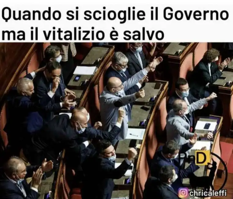 vitalizi vitalizio 