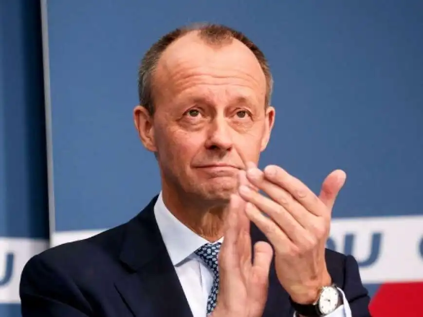 friedrich merz