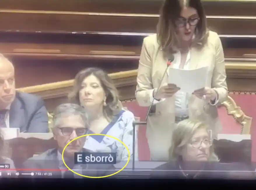 i sottotitoli di youtube scambiano 'esporro' con 'e sborro' mentre parla daniela santanche senato