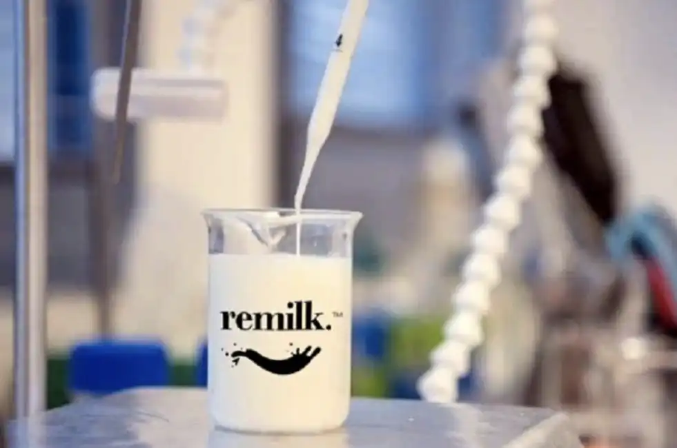 latte sintetico remilk