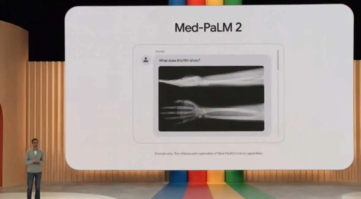 med palm 2