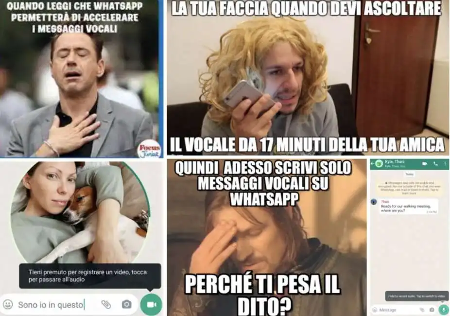 meme messaggi vocali videomessaggi istantanei whatsapp 