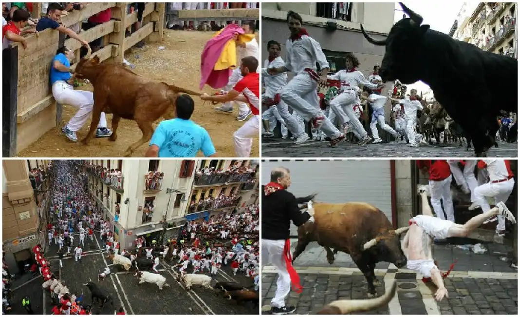 corrida tori pamplona