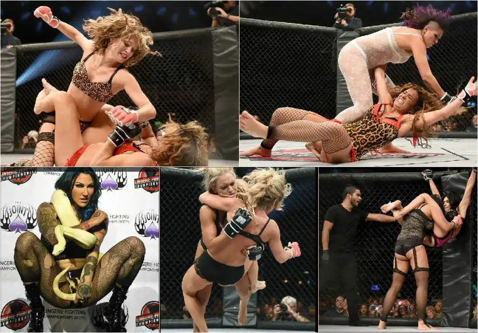 lingerie fighting championship