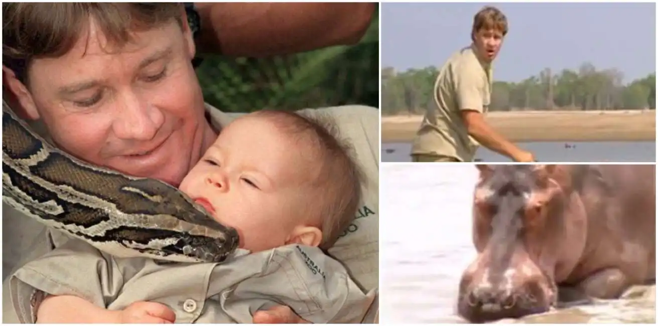 steve irwin (1)