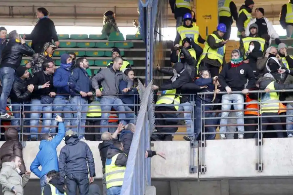 ultras verona