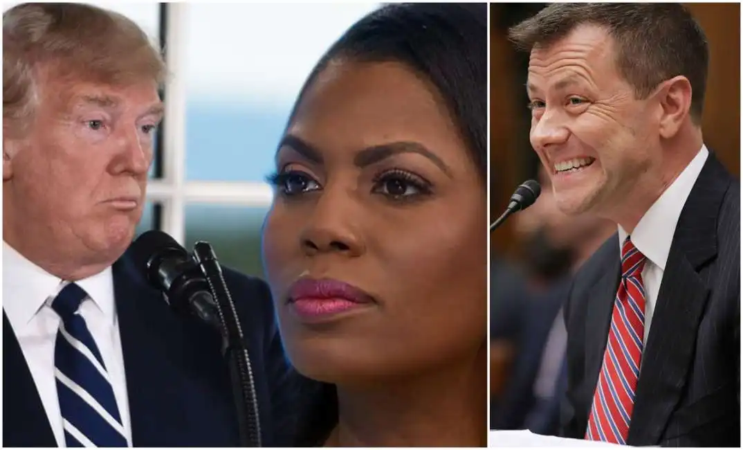 trump omarosa strzok