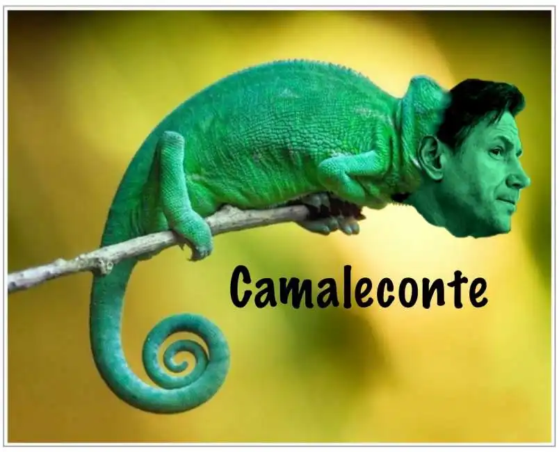 conte camaleconte