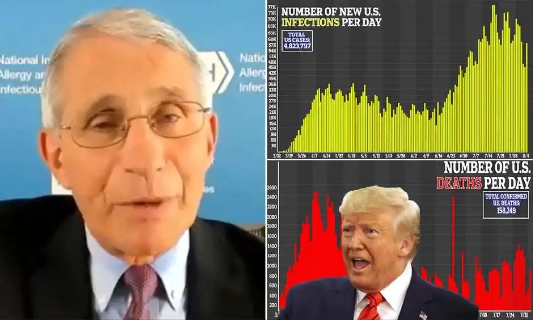 donald trump anthony fauci 