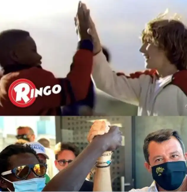 salvini ringo