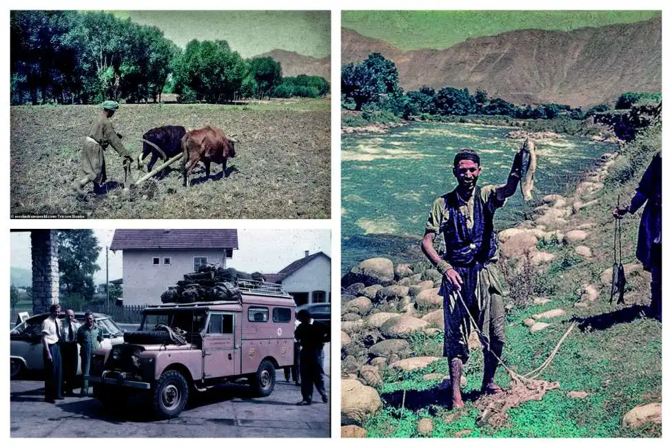 afghanistan 1955