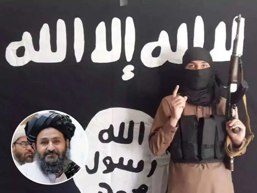 shahab al-muhajir baradar talebani afghanistan isis-k