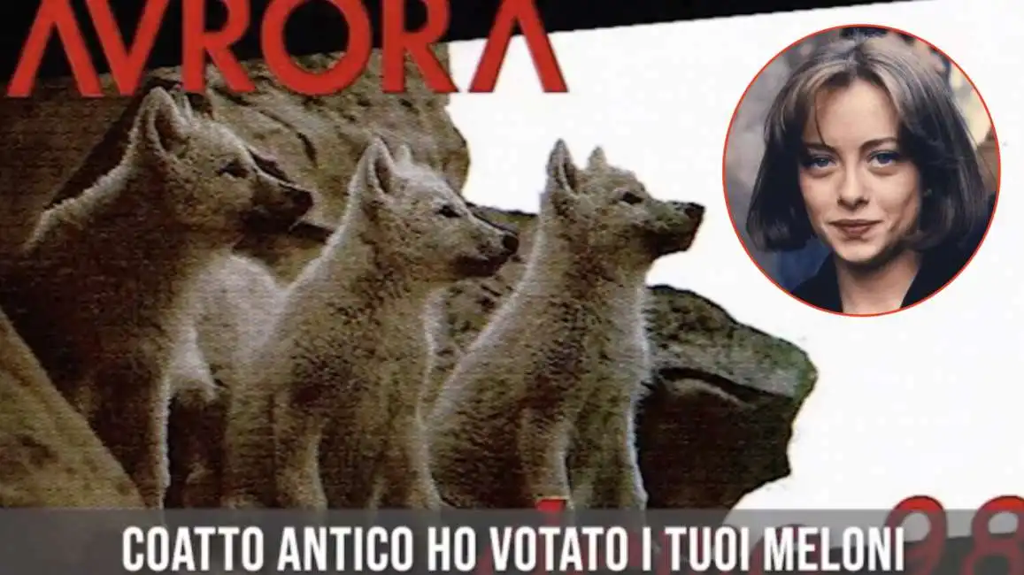 coatto antico - la canzone degli aurora dedicata a giorgia meloni - 4