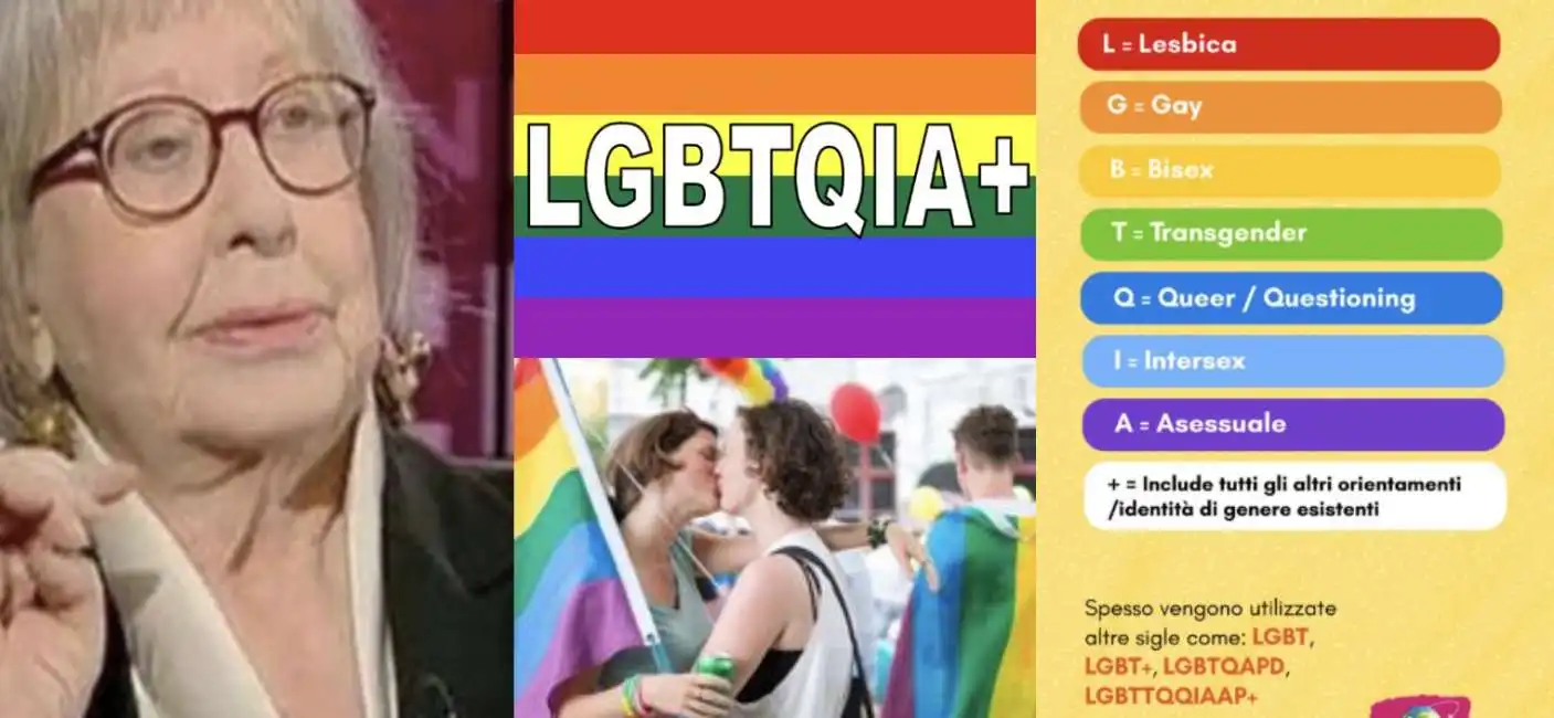 lgbtqia+ 