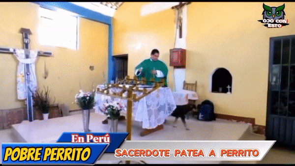 sacerdote prete peru calcio cane calci 