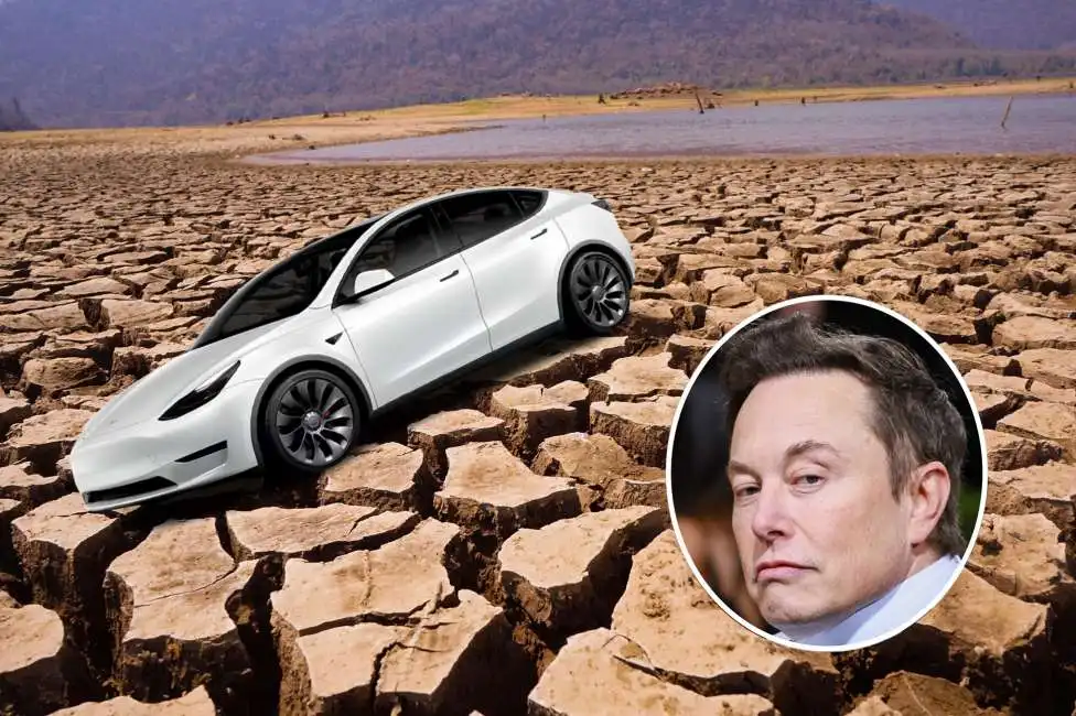 siccita elon musk