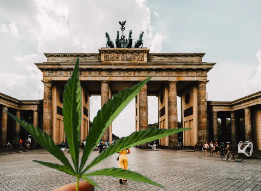 cannabis legale germania