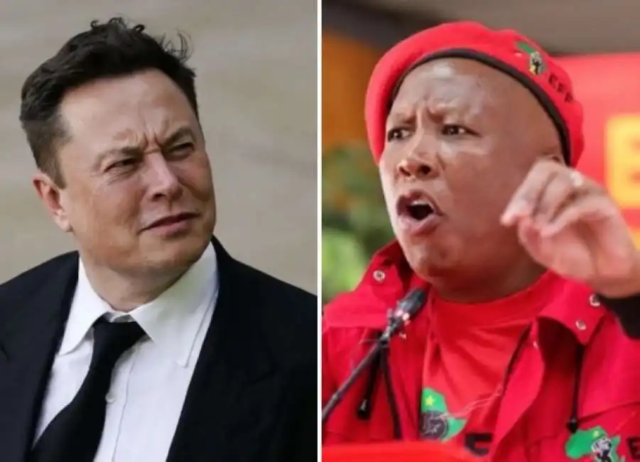 elon musk julius malema