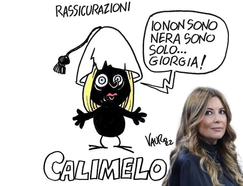 giorgia meloni calimero selvaggia lucarelli 