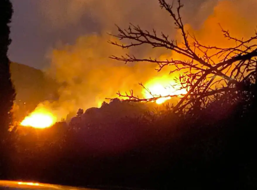 incendio isola d elba