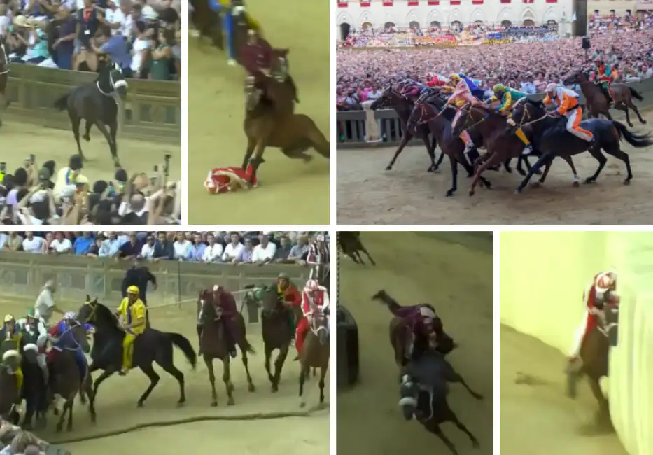 palio di siena 2023