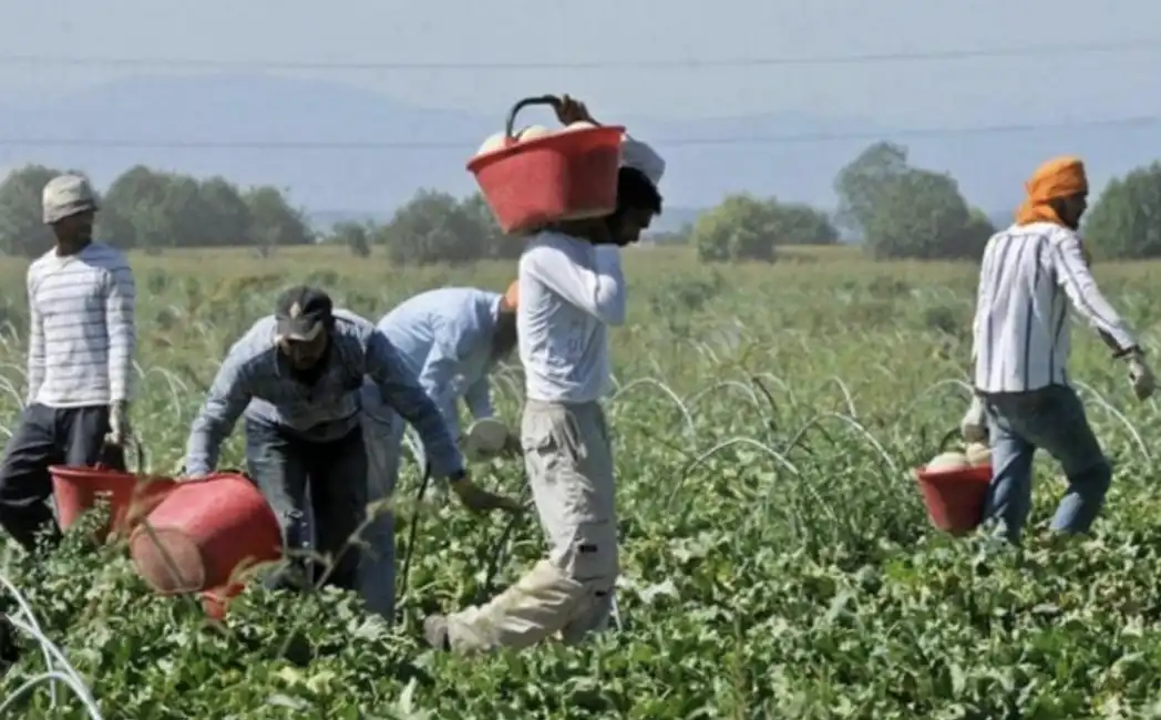 braccianti agro pontino latina