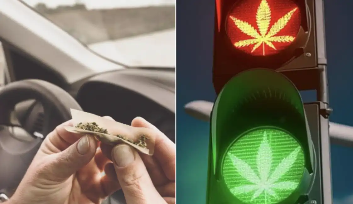 cannabis auto marijuana guida germania