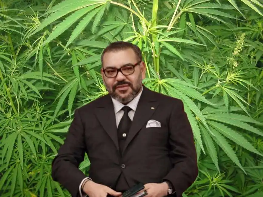 mohammed vi marocco marijuana cannabis 