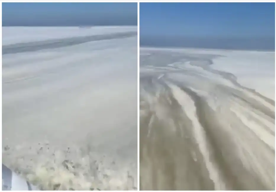 mucillagine nel mar adriatico