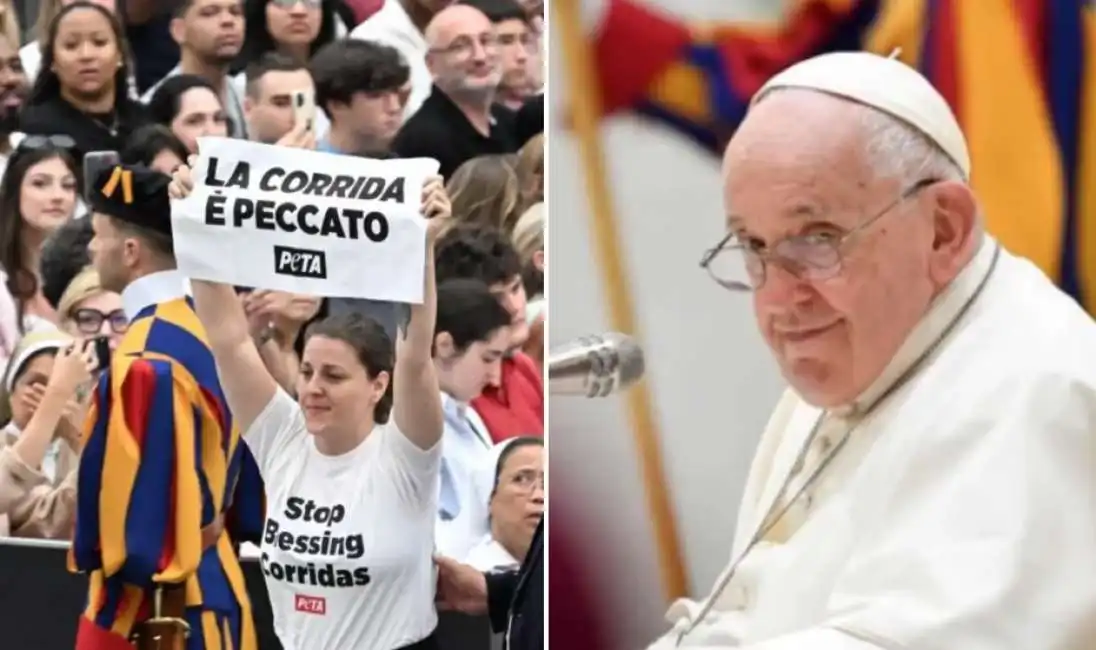 proteste contro la corrida - udienza papa francesco 