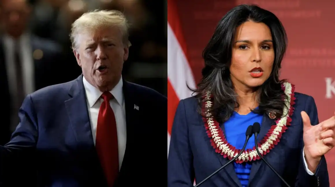 tulsi gabbard donald trump