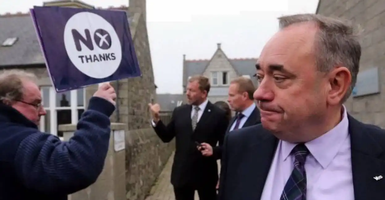 salmond 