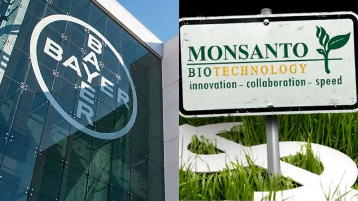 big bayer monsanto