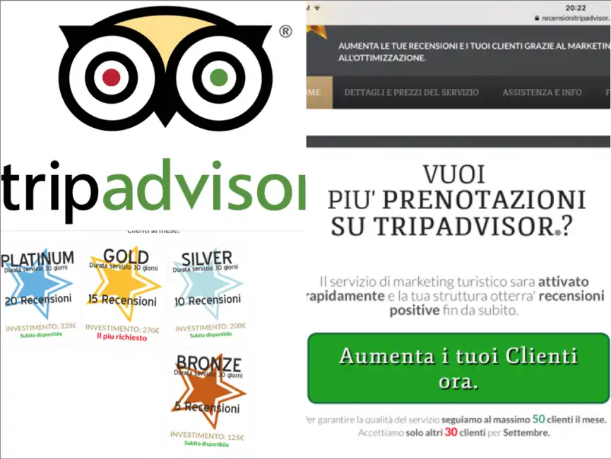 tripadvisor