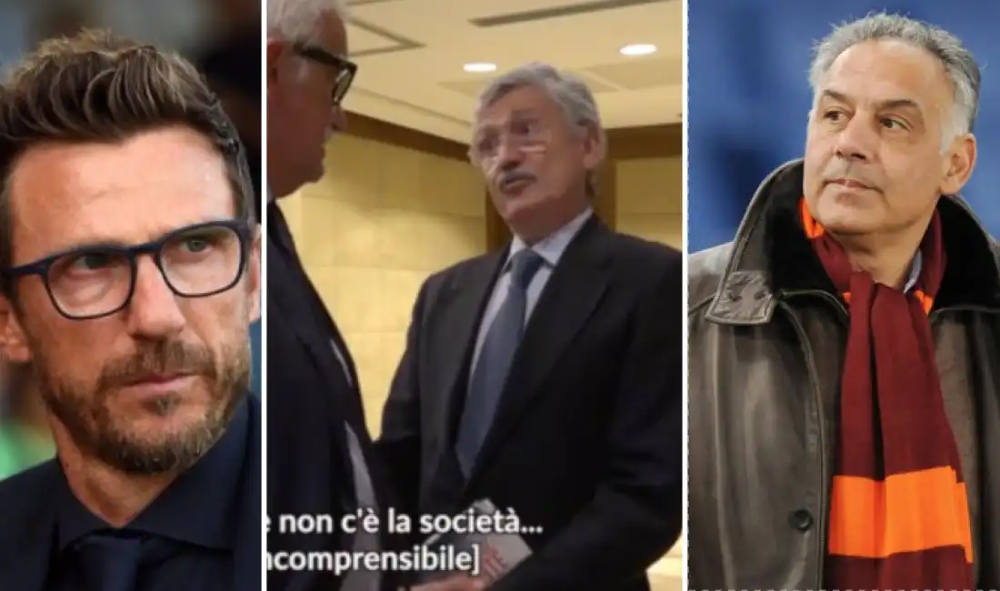 d'alema pallotta di francesco