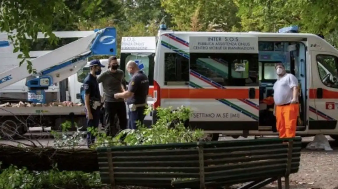 albero colpisce una donna in una panchina a milano 