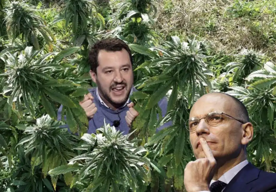 matteo salvini enrico letta cannabis