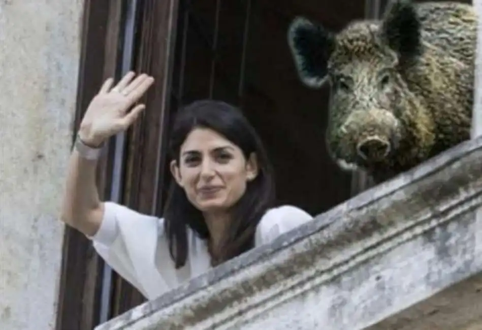 meme - virginia raggi e il cinghiale