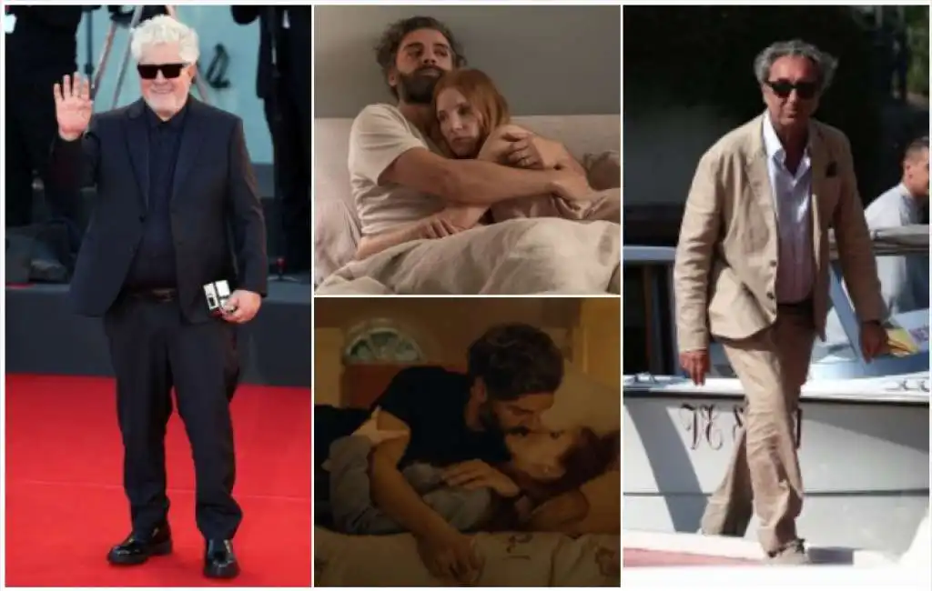 pedro almodovar paolo sorrentino scene da un matrimonio