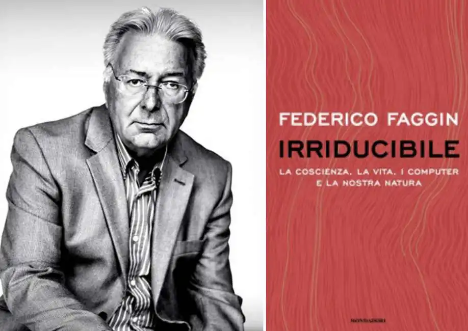 federico faggin irriducibile