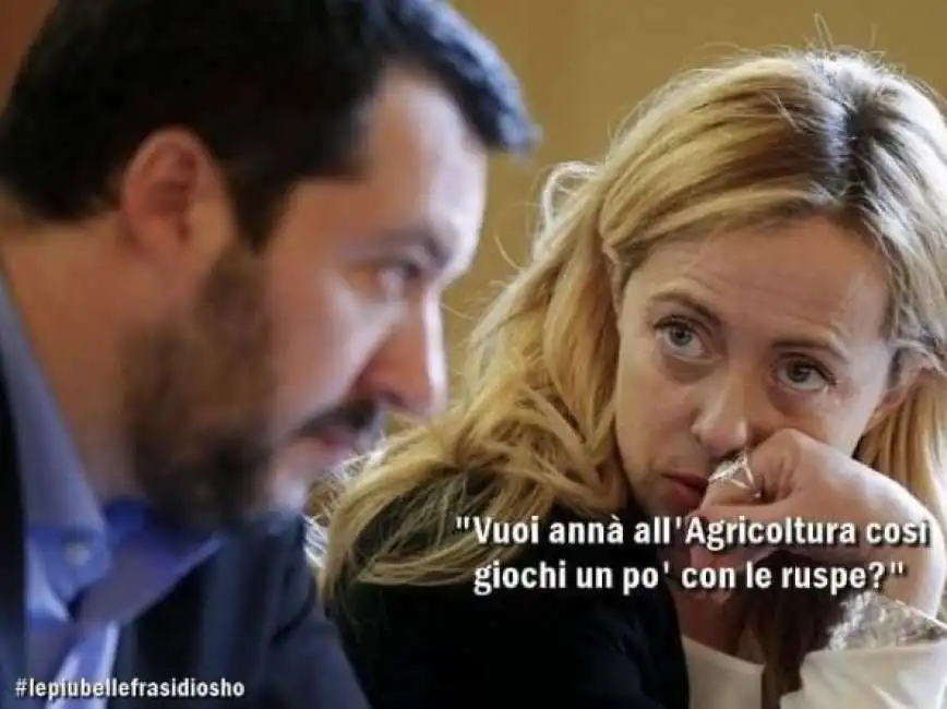 meme salvini meloni agricoltura ruspe