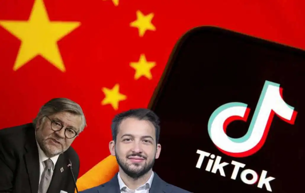 tiktok cina volpi