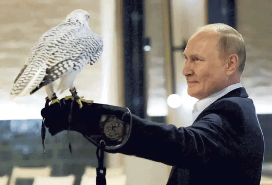 vladimir putin con un falco 