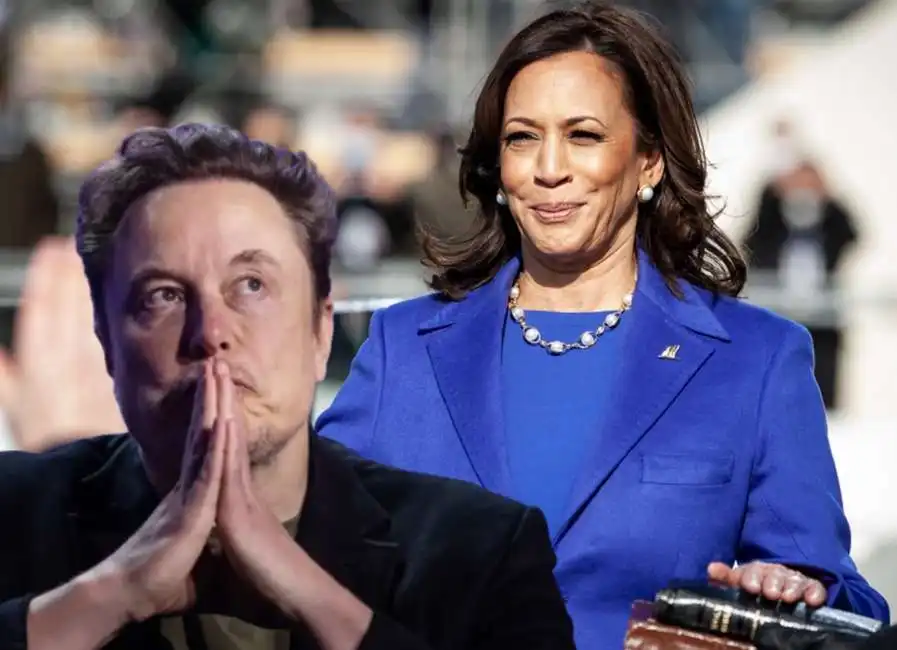 elon musk kamala harris 