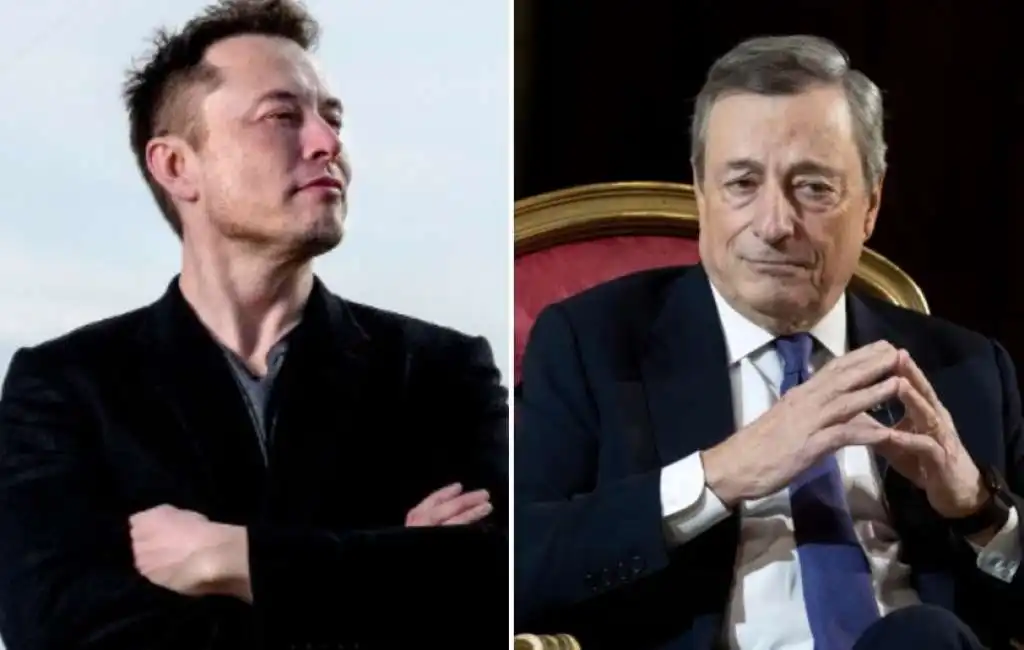 elon musk mario draghi