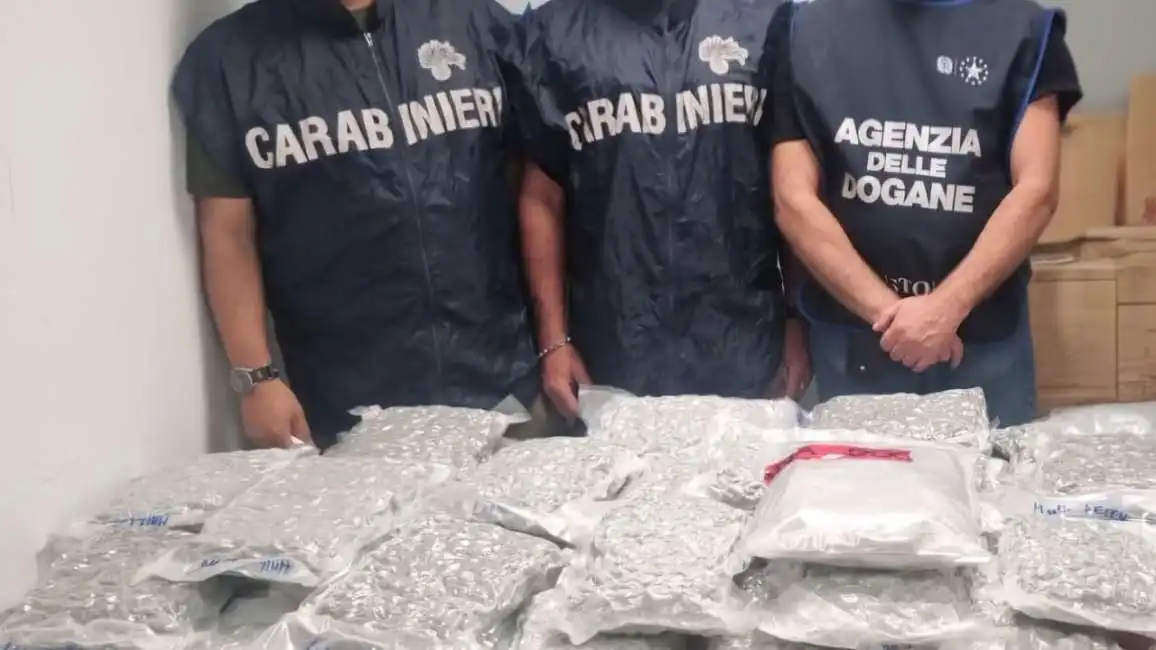 fiumicino - passeggero nasconde 20 chili di marijuana nella valigia