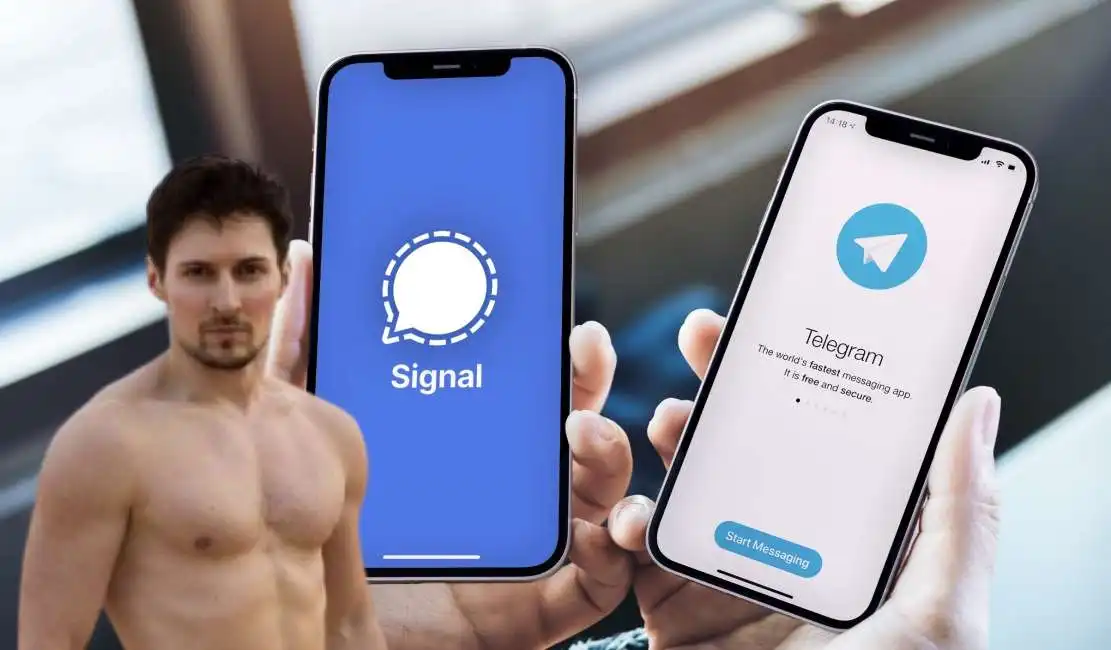 pavel durov signal telegram app 