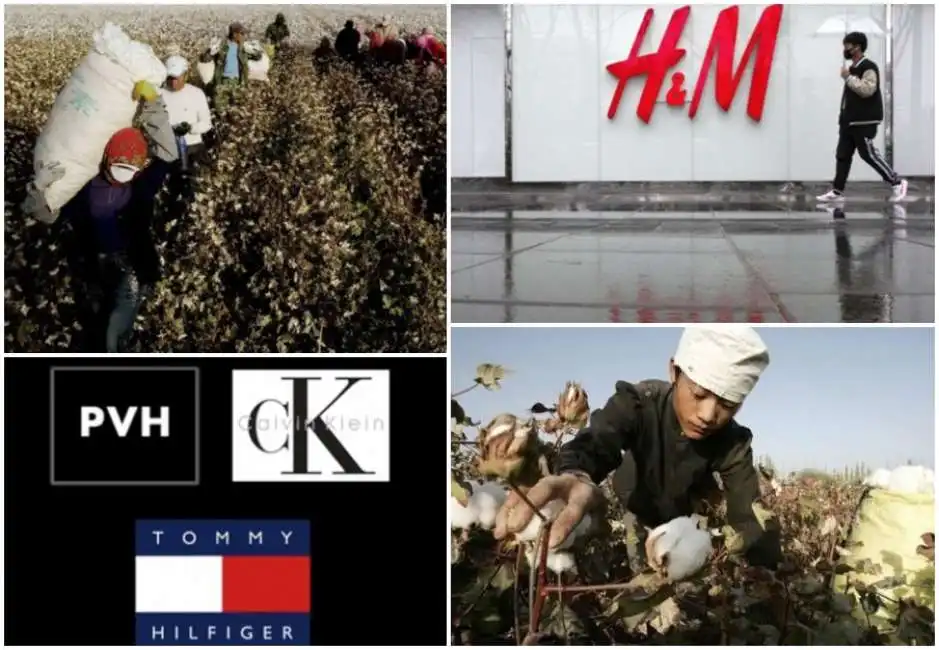 piantagione di cotone cina h&m calvin klein tommy hilfiger