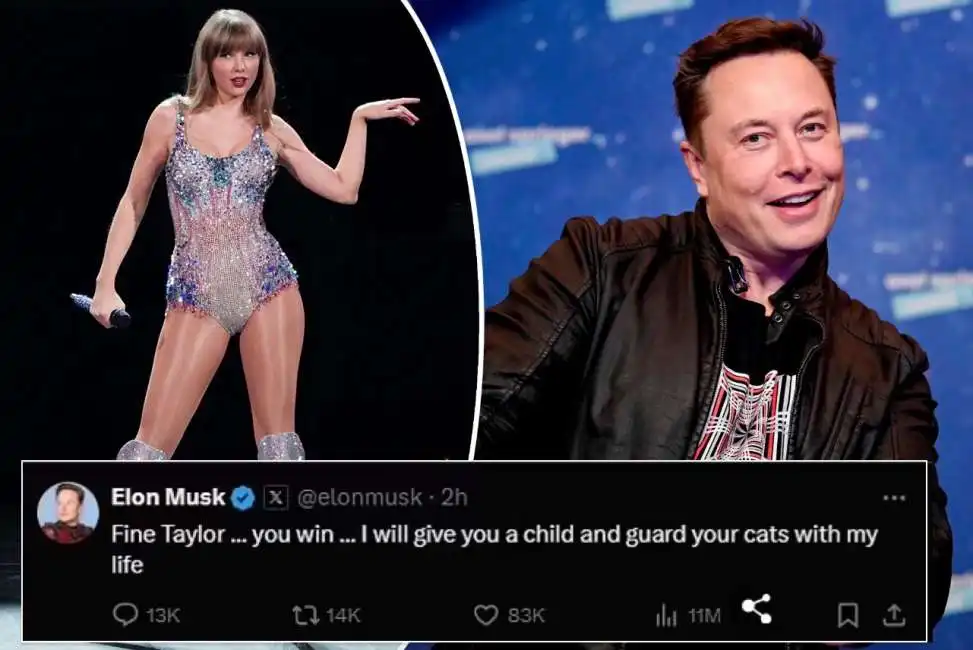 taylor swift elon musk