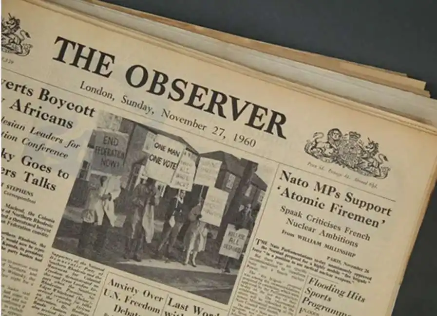 the observer